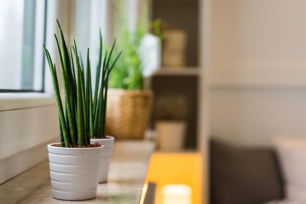 Apartamenty Tespis - Andersa Katowice Luaran gambar